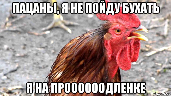 пацаны, я не пойду бухать я на проооооодленке