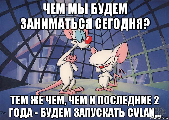 чем мы будем заниматься сегодня? тем же чем, чем и последние 2 года - будем запускать cvlan...