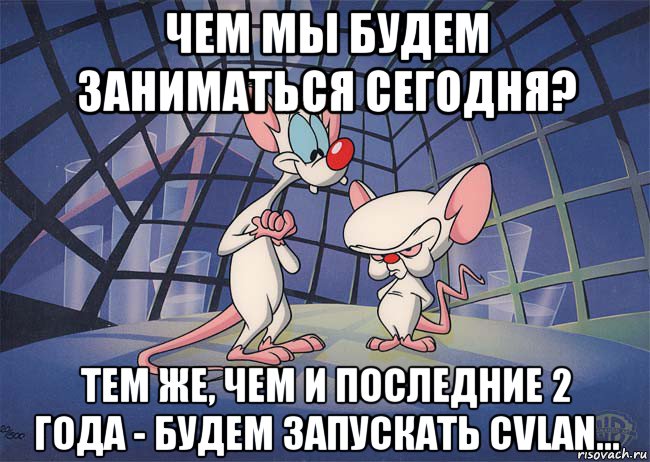 чем мы будем заниматься сегодня? тем же, чем и последние 2 года - будем запускать cvlan...