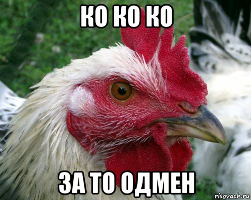 ко ко ко за то одмен