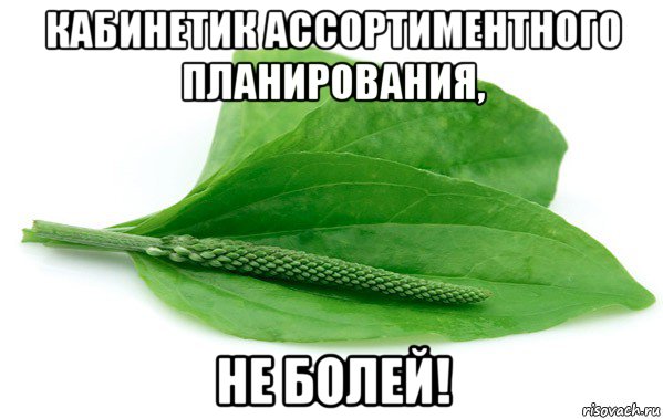 кабинетик ассортиментного планирования, не болей!