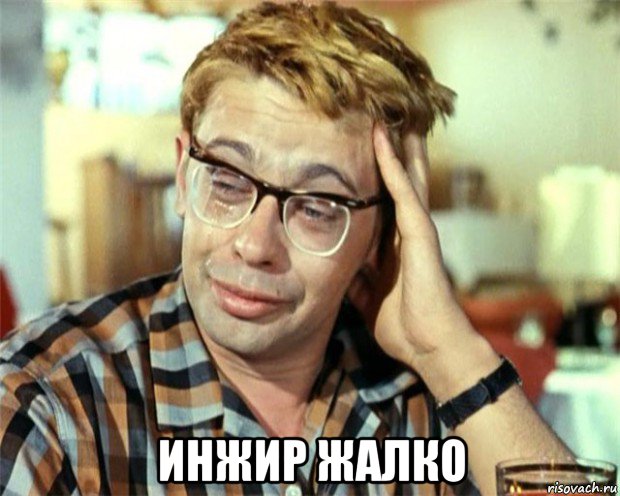  инжир жалко, Мем Птичка