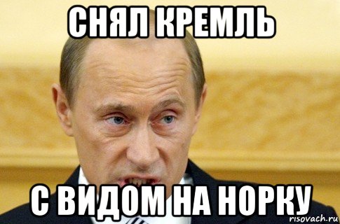 снял кремль с видом на норку, Мем путин