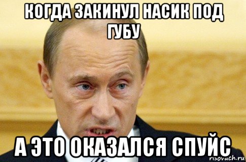 когда закинул насик под губу а это оказался спуйс, Мем путин