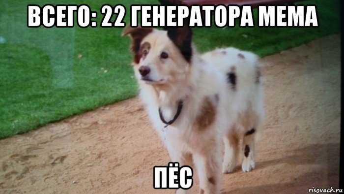 всего: 22 генератора мема пёс, Мем Пёс