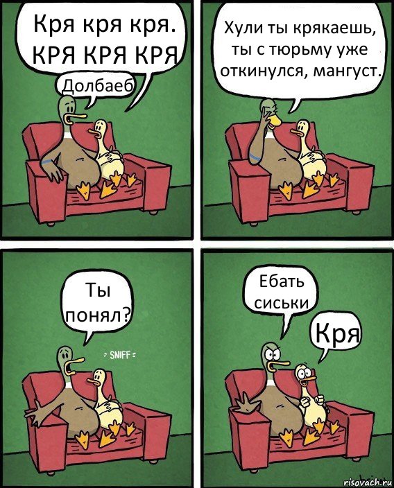 Кря кря кря. КРЯ КРЯ КРЯ Долбаеб Хули ты крякаешь, ты с тюрьму уже откинулся, мангуст. Ты понял? Ебать сиськи Кря, Комикс  Разговор уток