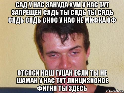 сад у нас зануда хум у нас тут запрещен сядь ты сядь ты сядь сядь сядь снос у нас не мифка оф отсоси наш гуцан если ты не шаман у нас тут линцизионое фигня ты здесь, Мем real high guy