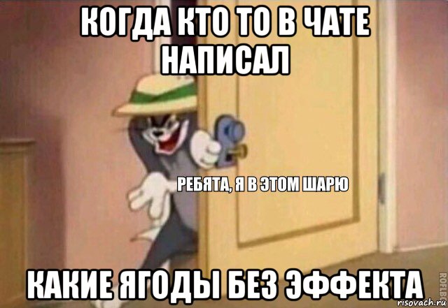 когда кто то в чате написал какие ягоды без эффекта, Мем    Ребята я в этом шарю