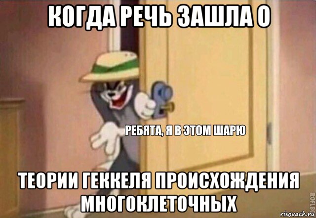 когда речь зашла о теории геккеля происхождения многоклеточных, Мем    Ребята я в этом шарю