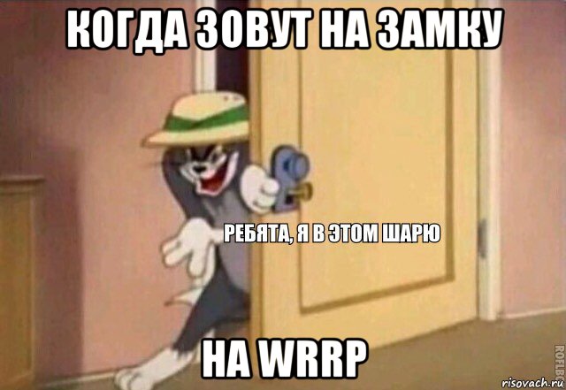 когда зовут на замку на wrrp, Мем    Ребята я в этом шарю