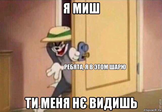 я миш ти меня нє видишь, Мем    Ребята я в этом шарю