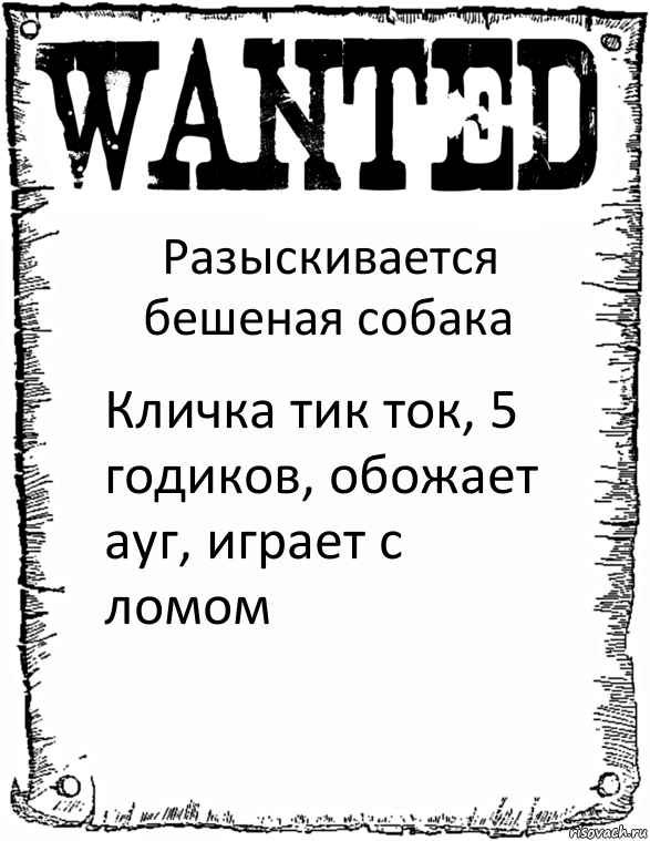 Разыскивается бешеная собака Кличка тик ток, 5 годиков, обожает ауг, играет с ломом, Комикс розыск