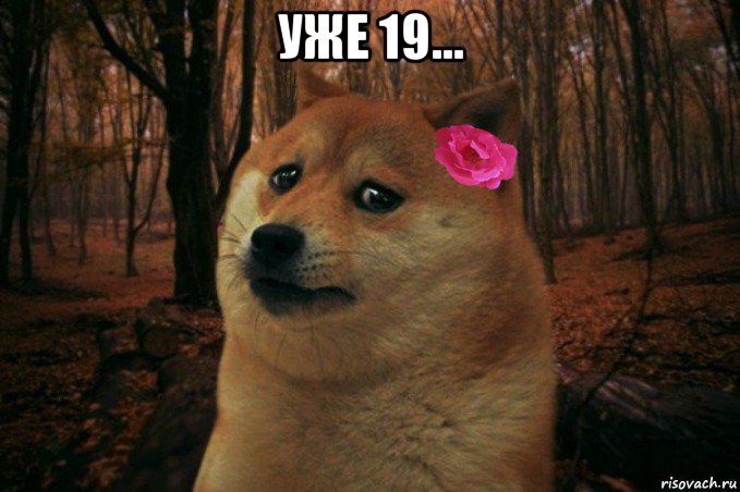 уже 19... , Мем  SAD DOGE GIRL