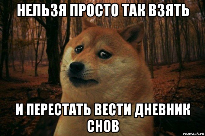 нельзя просто так взять и перестать вести дневник снов, Мем SAD DOGE