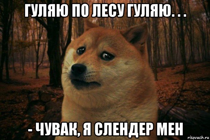 гуляю по лесу гуляю. . . - чувак, я слендер мен, Мем SAD DOGE