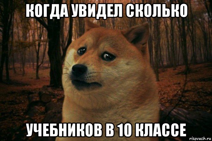 когда увидел сколько учебников в 10 классе, Мем SAD DOGE