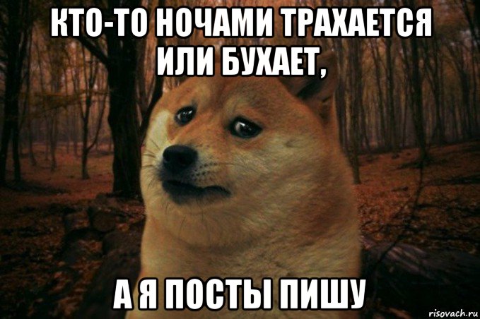 кто-то ночами трахается или бухает, а я посты пишу, Мем SAD DOGE