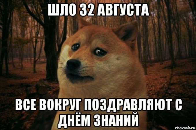 шло 32 августа все вокруг поздравляют с днём знаний, Мем SAD DOGE