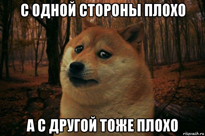 с одной стороны плохо а с другой тоже плохо, Мем SAD DOGE