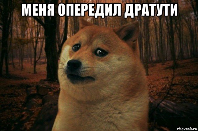 меня опередил дратути , Мем SAD DOGE