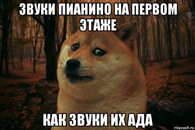 звуки пианино на первом этаже как звуки их ада, Мем SAD DOGE