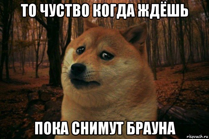 то чуство когда ждёшь пока снимут брауна, Мем SAD DOGE