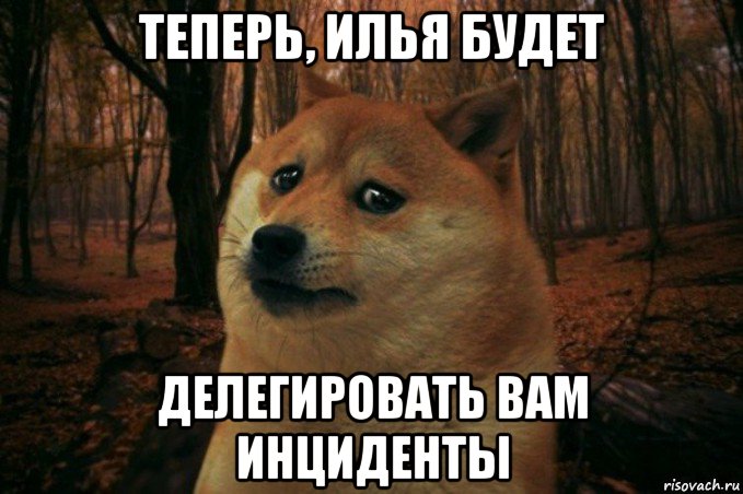 теперь, илья будет делегировать вам инциденты, Мем SAD DOGE