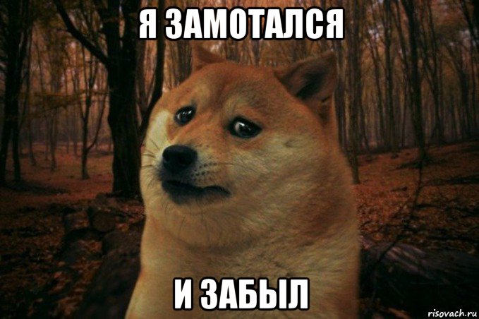 я замотался и забыл, Мем SAD DOGE