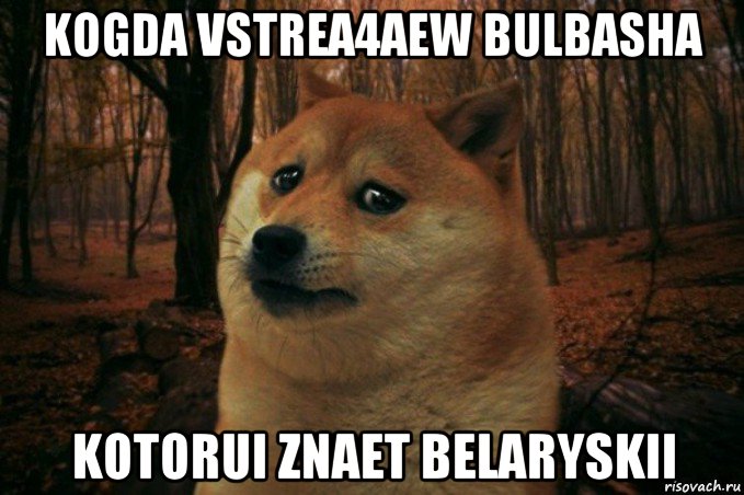 kogda vstrea4aew bulbasha kotorui znaet belaryskii, Мем SAD DOGE