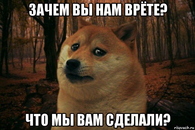 зачем вы нам врёте? что мы вам сделали?, Мем SAD DOGE