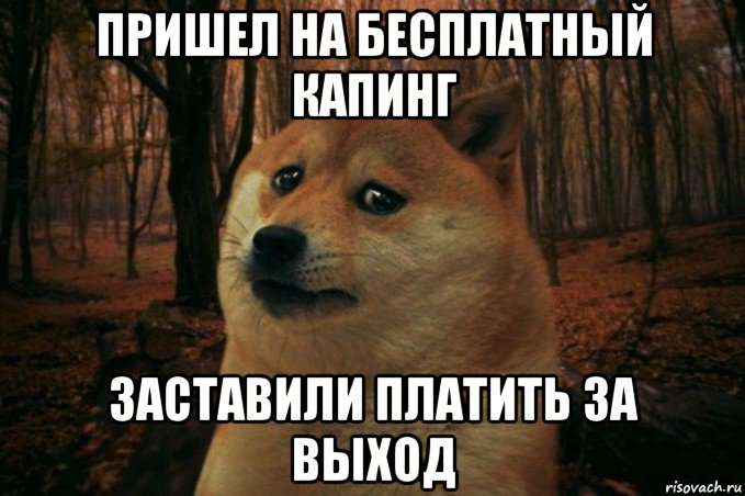 пришел на бесплатный капинг заставили платить за выход, Мем SAD DOGE