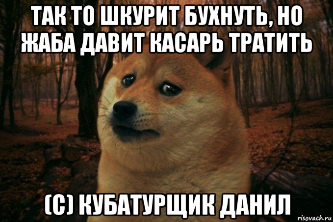 так то шкурит бухнуть, но жаба давит касарь тратить (с) кубатурщик данил, Мем SAD DOGE