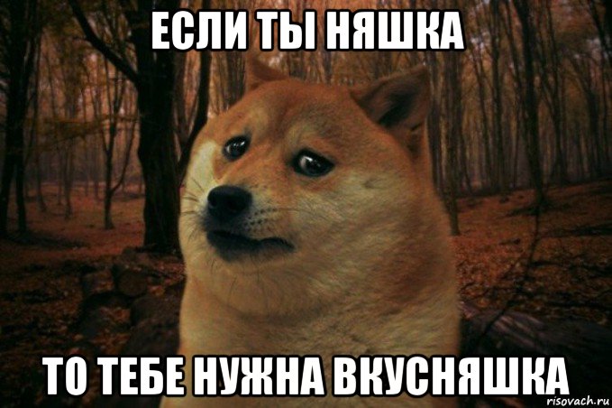 если ты няшка то тебе нужна вкусняшка, Мем SAD DOGE