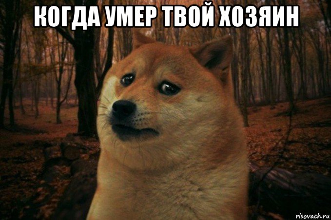 когда умер твой хозяин , Мем SAD DOGE