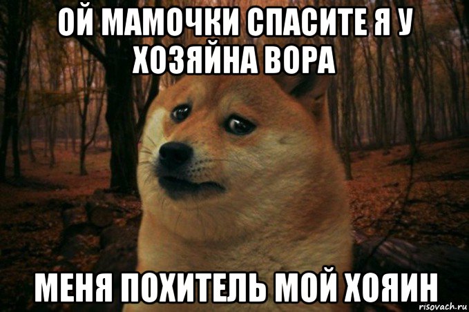 ой мамочки спасите я у хозяйна вора меня похитель мой хояин, Мем SAD DOGE