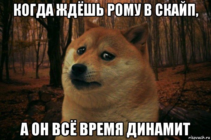 когда ждёшь рому в скайп, а он всё время динамит, Мем SAD DOGE