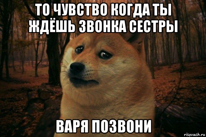 то чувство когда ты ждёшь звонка сестры варя позвони, Мем SAD DOGE