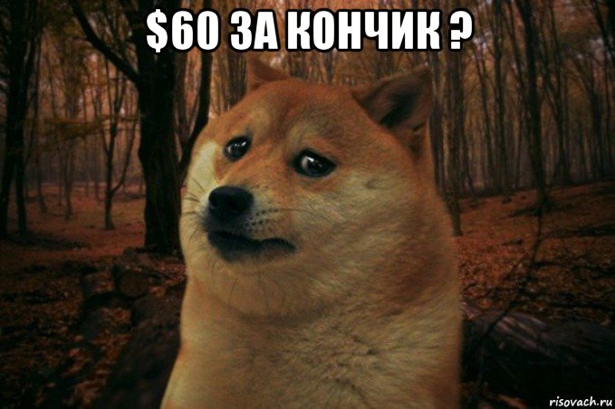 $60 за кончик ? , Мем SAD DOGE