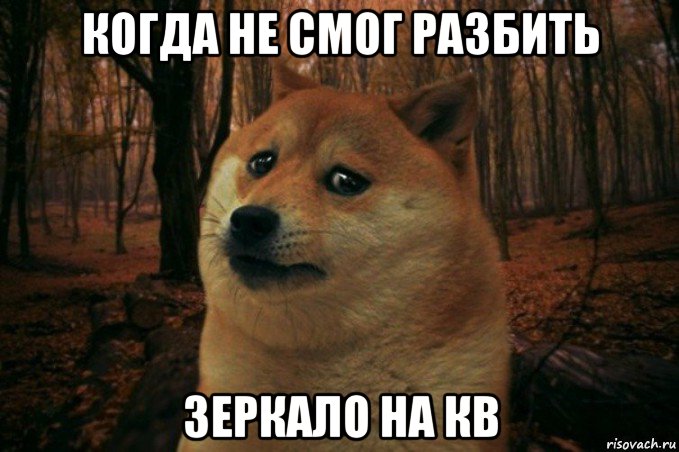 когда не смог разбить зеркало на кв, Мем SAD DOGE