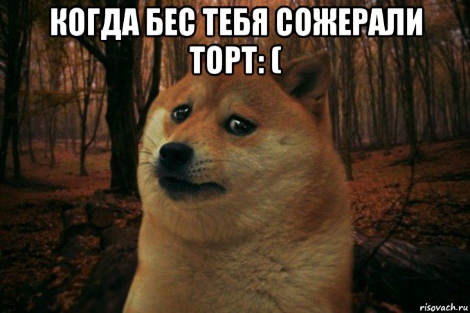 когда бес тебя сожерали торт: ( , Мем SAD DOGE