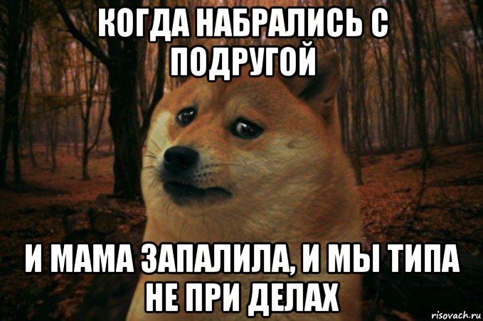 когда набрались с подругой и мама запалила, и мы типа не при делах, Мем SAD DOGE