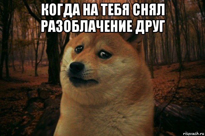 когда на тебя снял разоблачение друг , Мем SAD DOGE