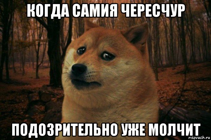 когда самия чересчур подозрительно уже молчит, Мем SAD DOGE