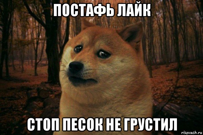 постафь лайк стоп песок не грустил, Мем SAD DOGE