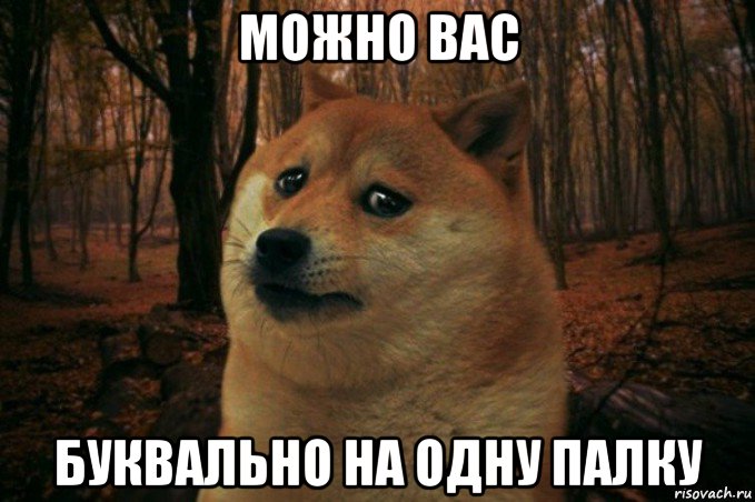 можно вас буквально на одну палку, Мем SAD DOGE