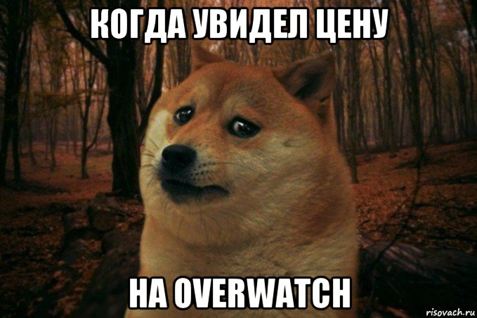 когда увидел цену на overwatch, Мем SAD DOGE