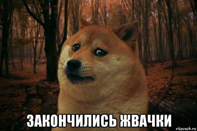  закончились жвачки, Мем SAD DOGE