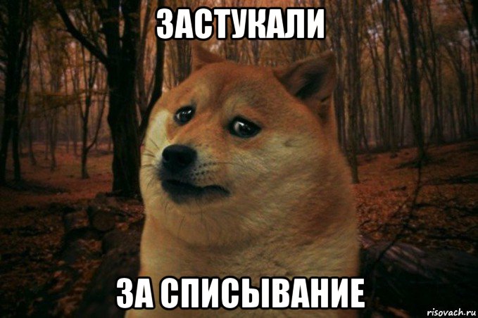 застукали за списывание, Мем SAD DOGE