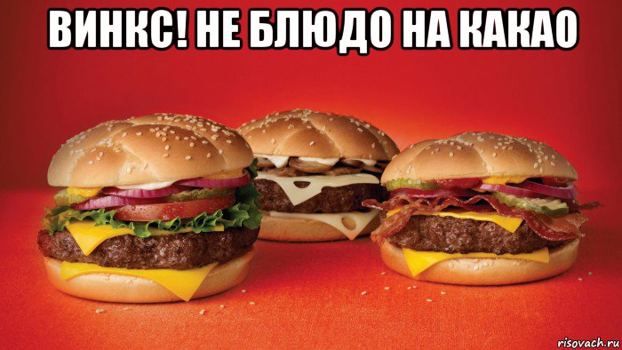 винкс! не блюдо на какао 