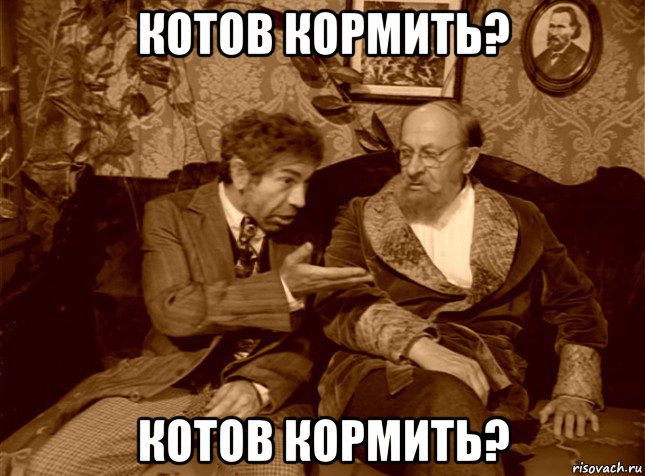 котов кормить? котов кормить?, Мем шариков